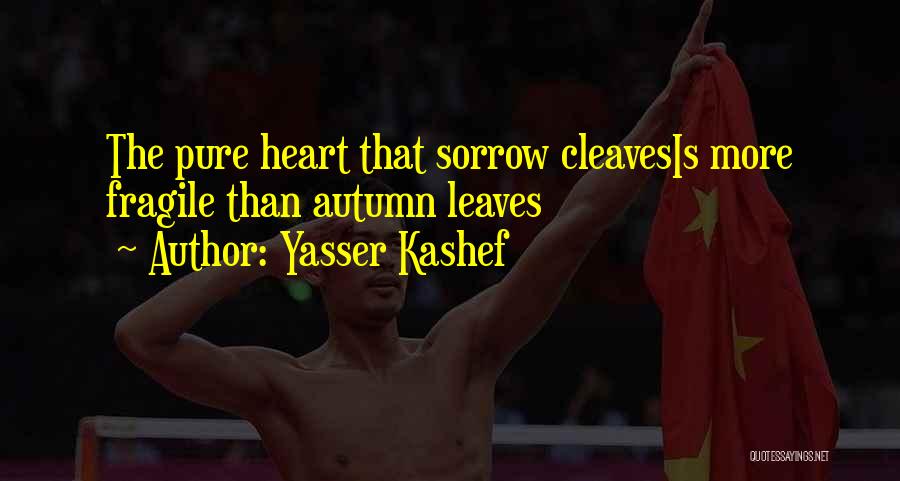 Fragile Heart Quotes By Yasser Kashef