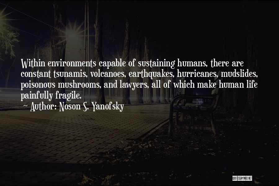 Fragile Human Life Quotes By Noson S. Yanofsky
