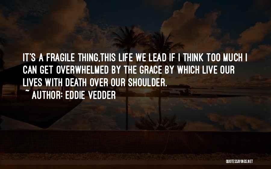 Fragile Life Quotes By Eddie Vedder