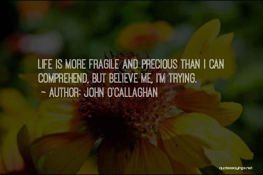 Fragile Life Quotes By John O'Callaghan