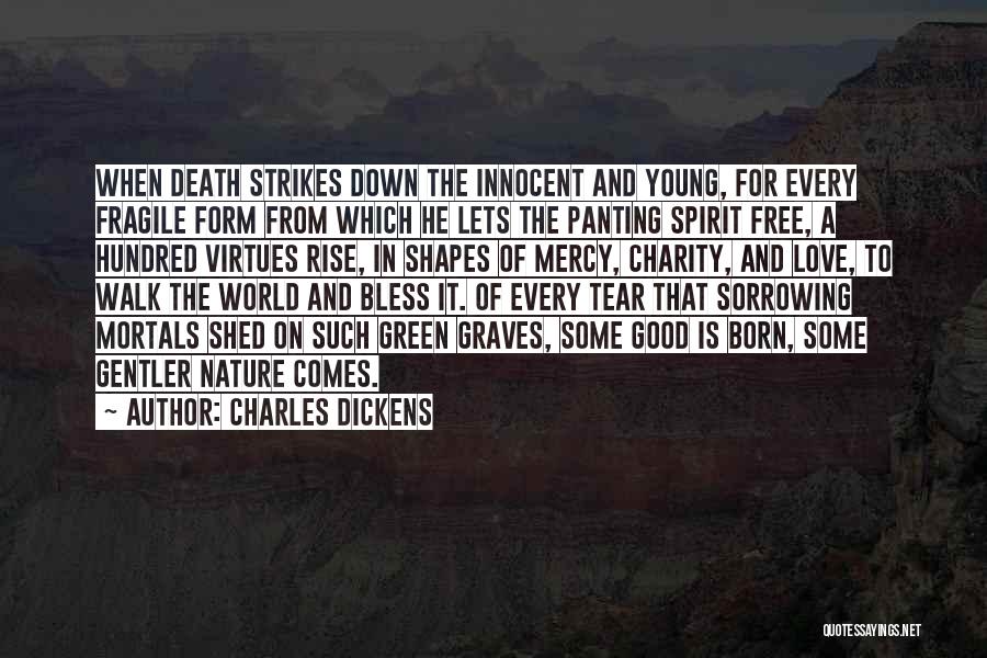 Fragile Nature Quotes By Charles Dickens