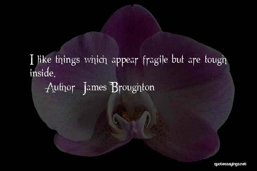 Fragile Things Quotes By James Broughton