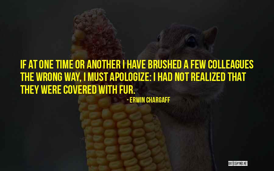 Fragmentado Quotes By Erwin Chargaff Fragmentado Quotes By Erwin Chargaff