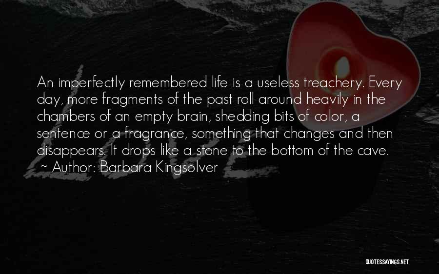 Fragments Of The Past Quotes By Barbara Kingsolver