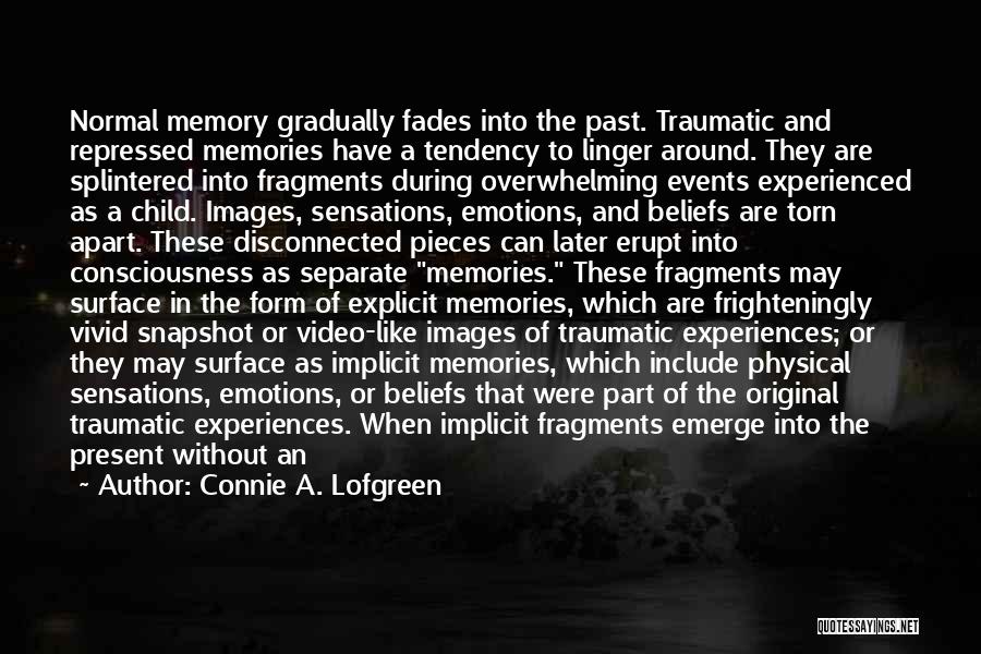 Fragments Of The Past Quotes By Connie A. Lofgreen