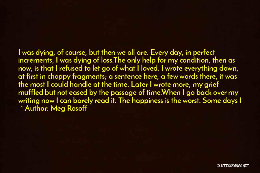 Fragments Of The Past Quotes By Meg Rosoff