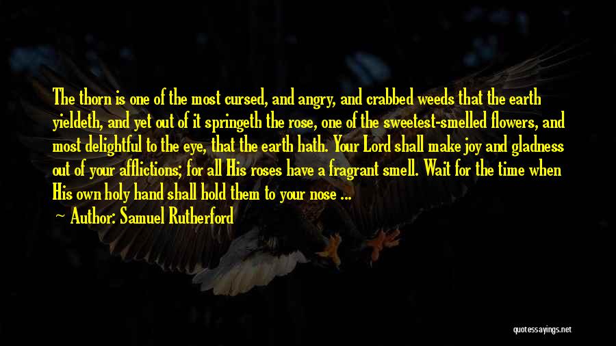 Fragrant Rose Quotes By Samuel Rutherford