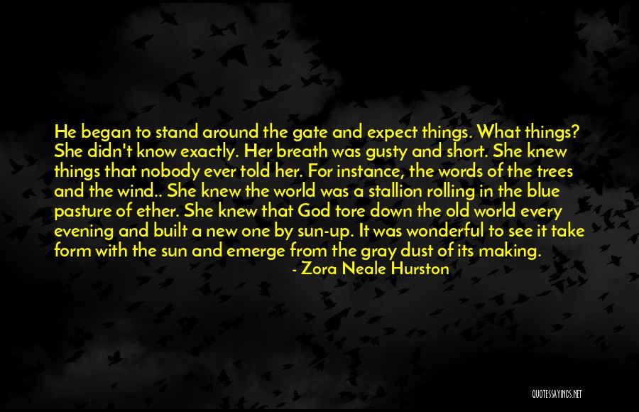Fraley Auctions Quotes By Zora Neale Hurston Fraley Auctions Quotes By Zora Neale Hurston