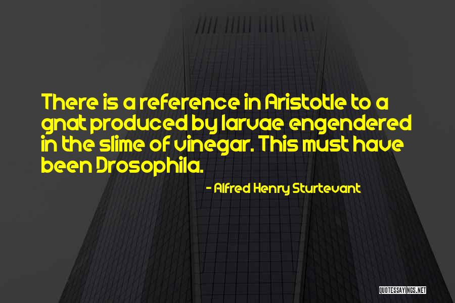 Framboise Beer Quotes By Alfred Henry Sturtevant Framboise Beer Quotes By Alfred Henry Sturtevant