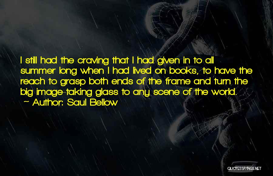 Frame Quotes By Saul Bellow