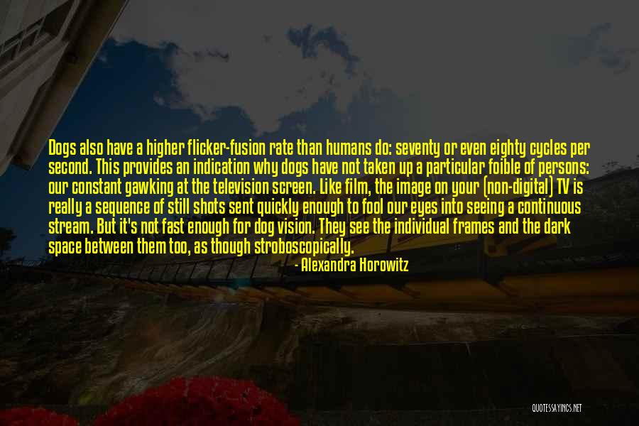 Frames Quotes By Alexandra Horowitz Frames Quotes By Alexandra Horowitz