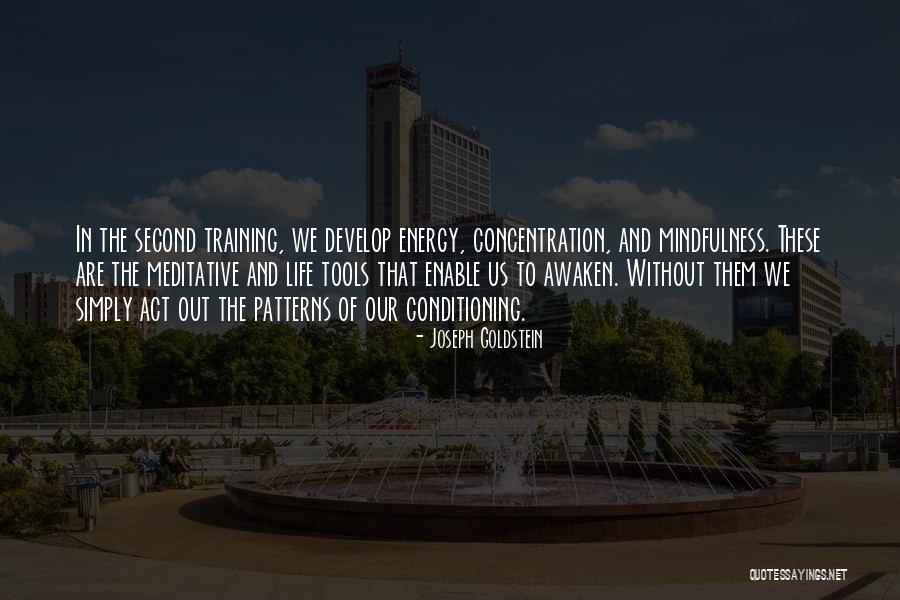 Framfra Quotes By Joseph Goldstein Framfra Quotes By Joseph Goldstein