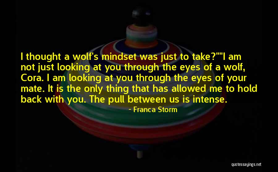 Franca Storm Quotes 2263965