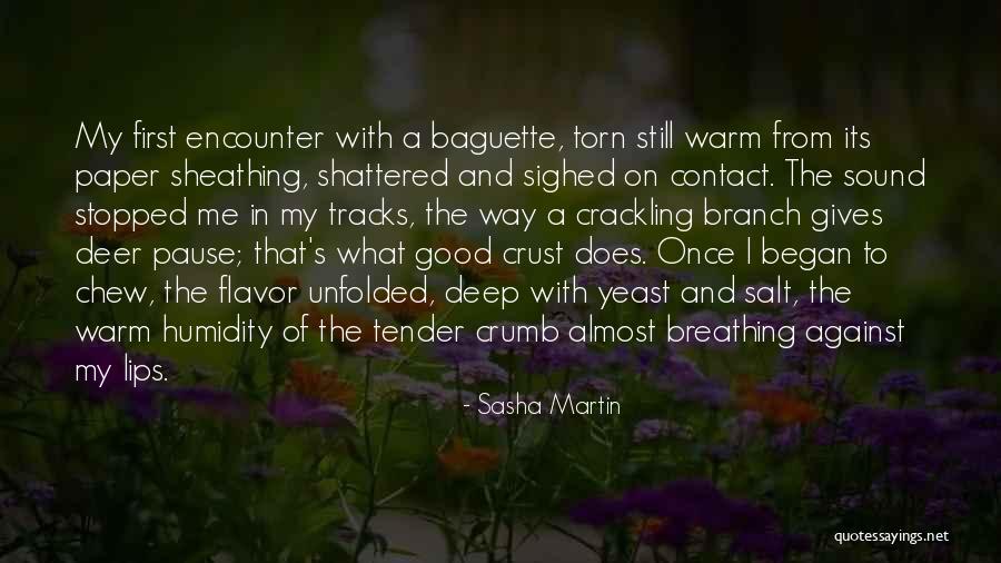 France And Food Quotes By Sasha Martin France And Food Quotes By Sasha Martin