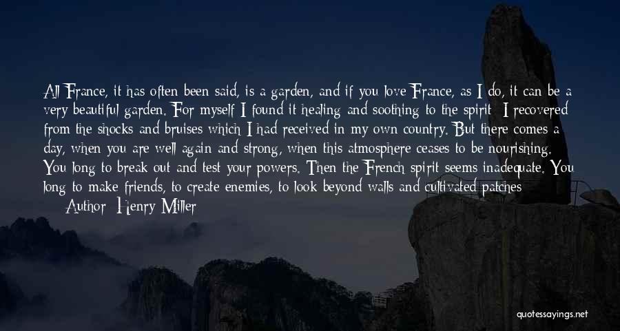 France And Love Quotes By Henry Miller