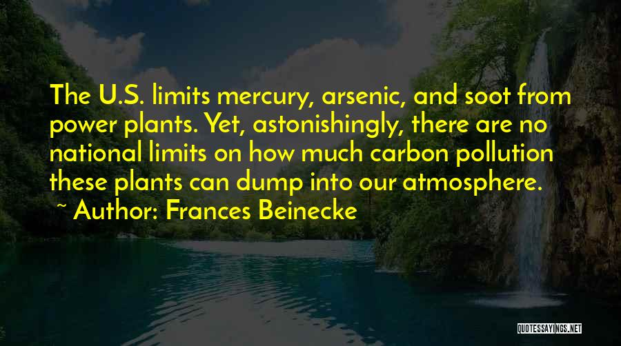 Frances Beinecke Quotes 1748813