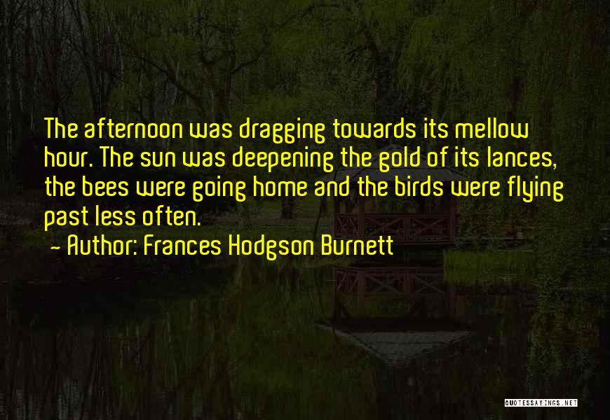 Frances Hodgson Burnett Quotes 1718956