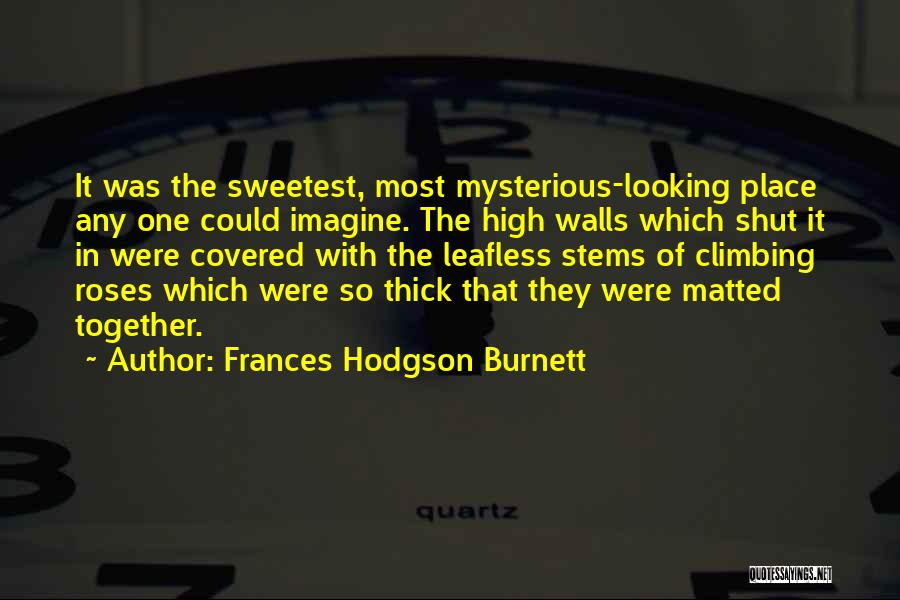 Frances Hodgson Burnett Quotes 572958