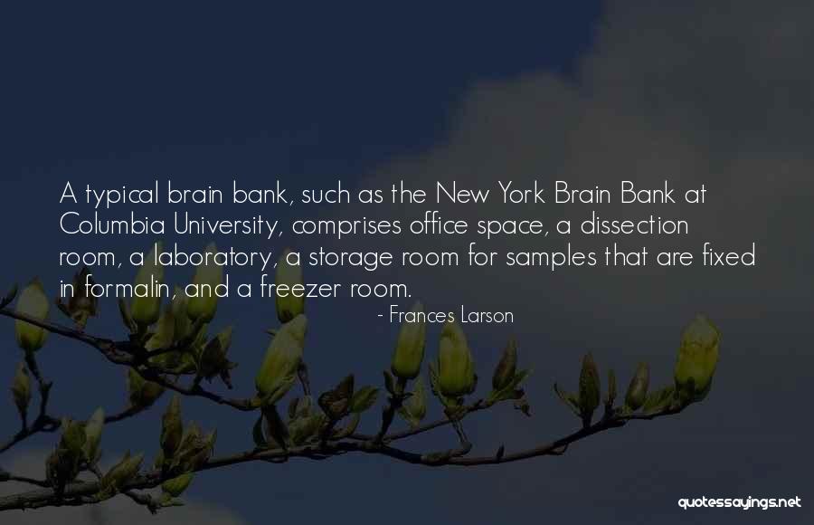 Frances Larson Quotes 413046