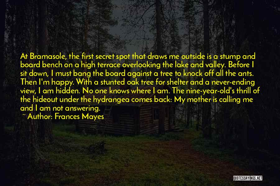 Frances Mayes Quotes 984992