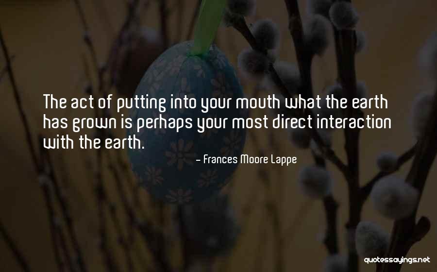 Frances Moore Lappe Quotes 1121155