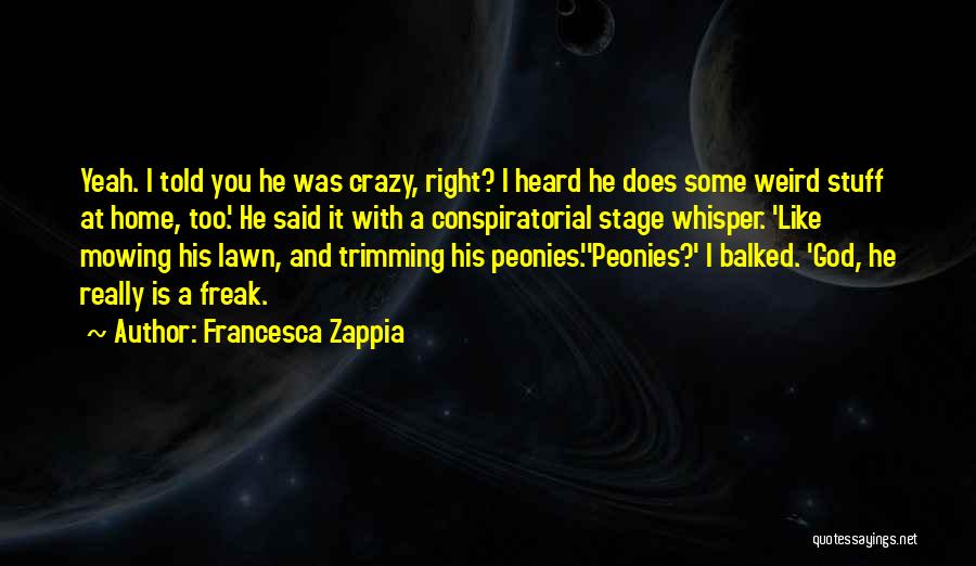 Francesca Zappia Quotes 2074434