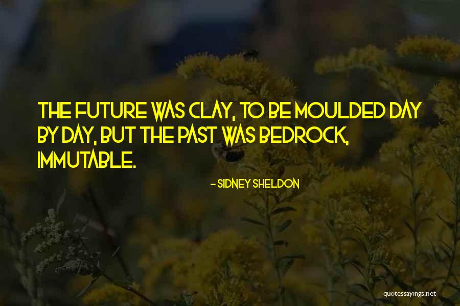 Franceschi Laboratorio Quotes By Sidney Sheldon Franceschi Laboratorio Quotes By Sidney Sheldon