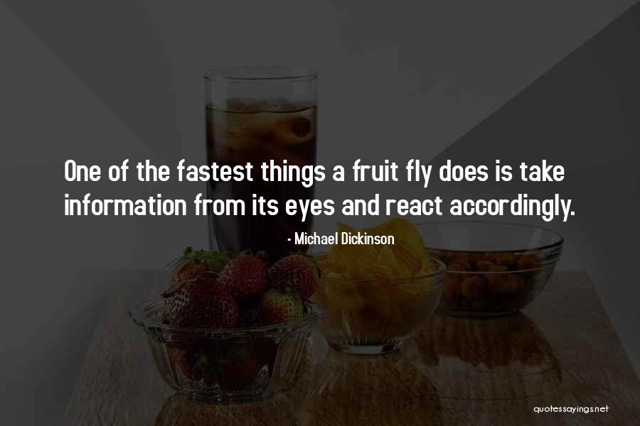 Franceschini Brothers Quotes By Michael Dickinson Franceschini Brothers Quotes By Michael Dickinson