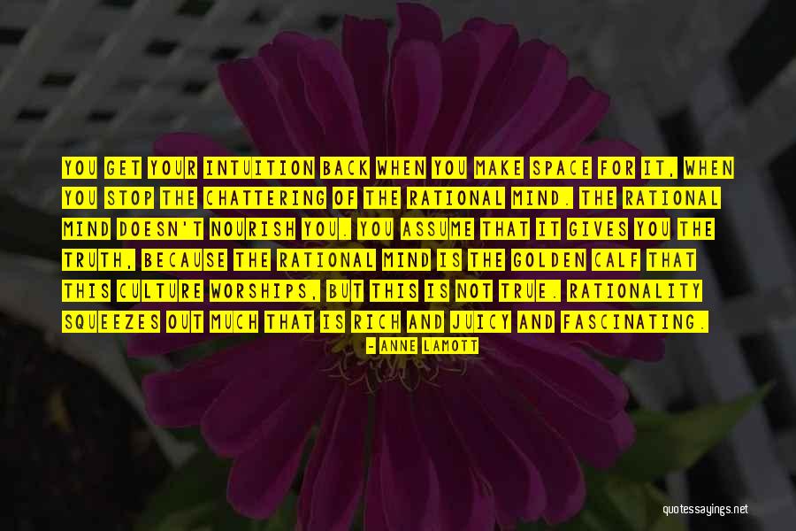 Franchelle Contreras Quotes By Anne Lamott Franchelle Contreras Quotes By Anne Lamott