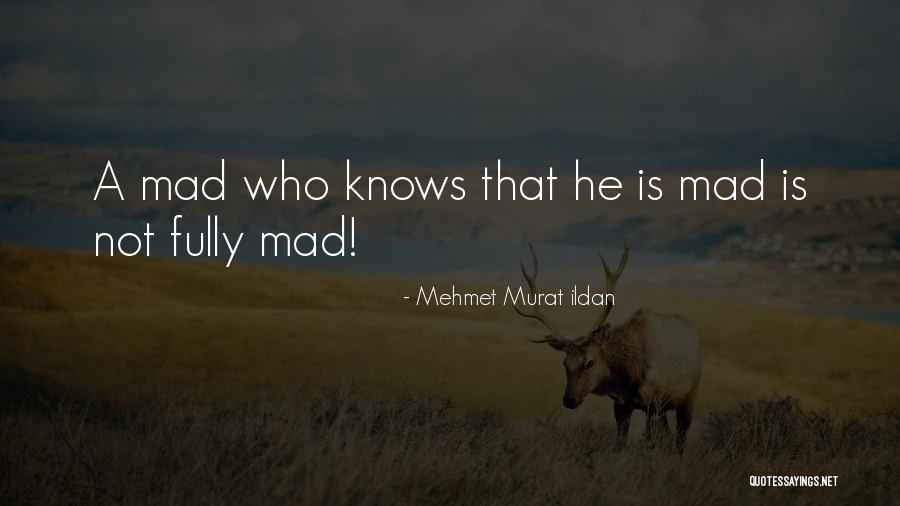 Franchion Quotes By Mehmet Murat Ildan Franchion Quotes By Mehmet Murat Ildan