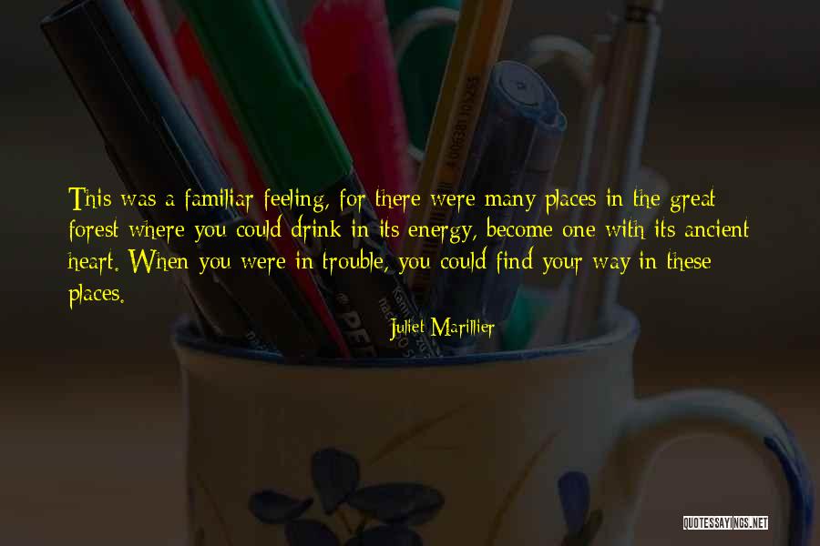 Franchione Dennis Quotes By Juliet Marillier Franchione Dennis Quotes By Juliet Marillier
