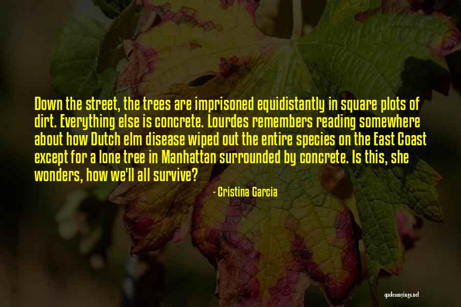 Franchise And Distribution Quotes By Cristina Garcia Franchise And Distribution Quotes By Cristina Garcia