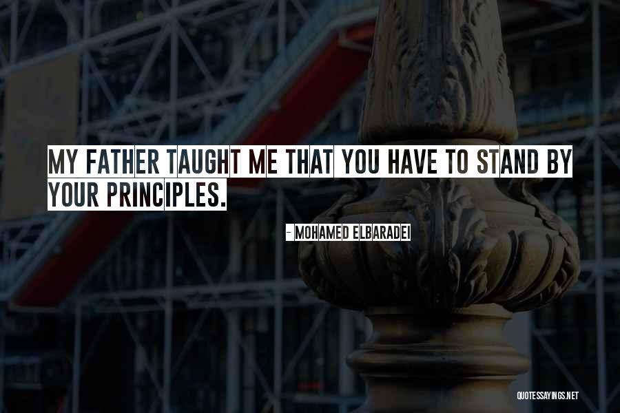 Francien Vunderink Quotes By Mohamed ElBaradei Francien Vunderink Quotes By Mohamed ElBaradei