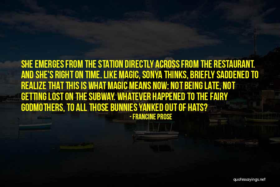 Francine Prose Quotes 2173546 Francine Prose Quotes 2173546
