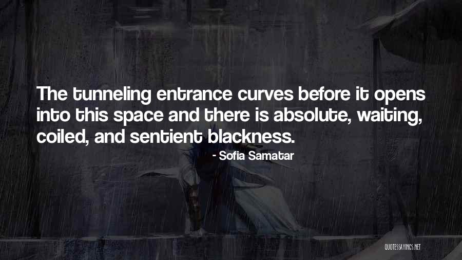Franciosa Tony Quotes By Sofia Samatar Franciosa Tony Quotes By Sofia Samatar