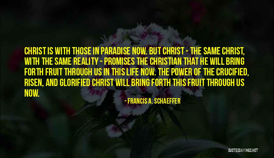 Francis A. Schaeffer Quotes 1074844