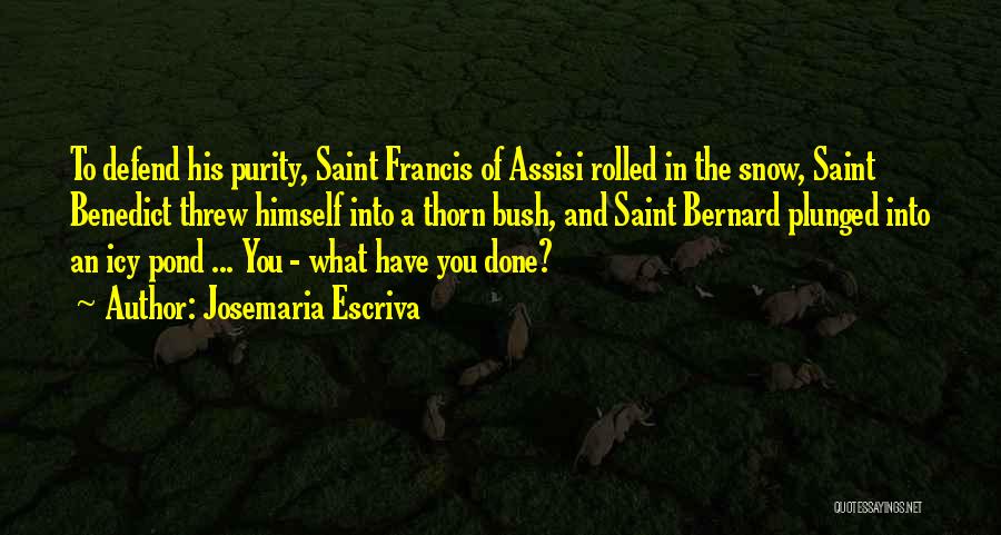 Francis Assisi Quotes By Josemaria Escriva