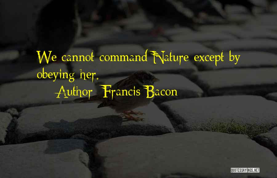 Francis Bacon Quotes 1860303