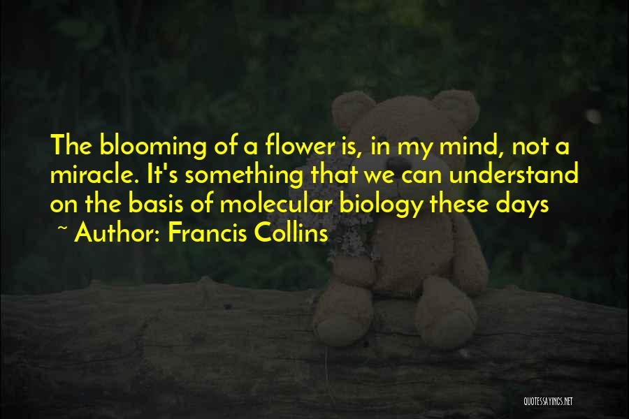 Francis Collins Quotes 333455