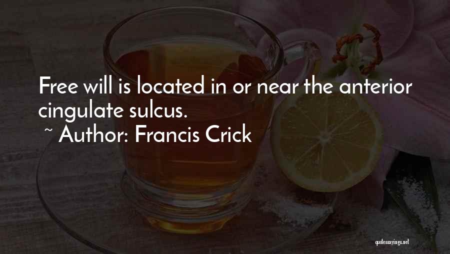 Francis Crick Quotes 1483533