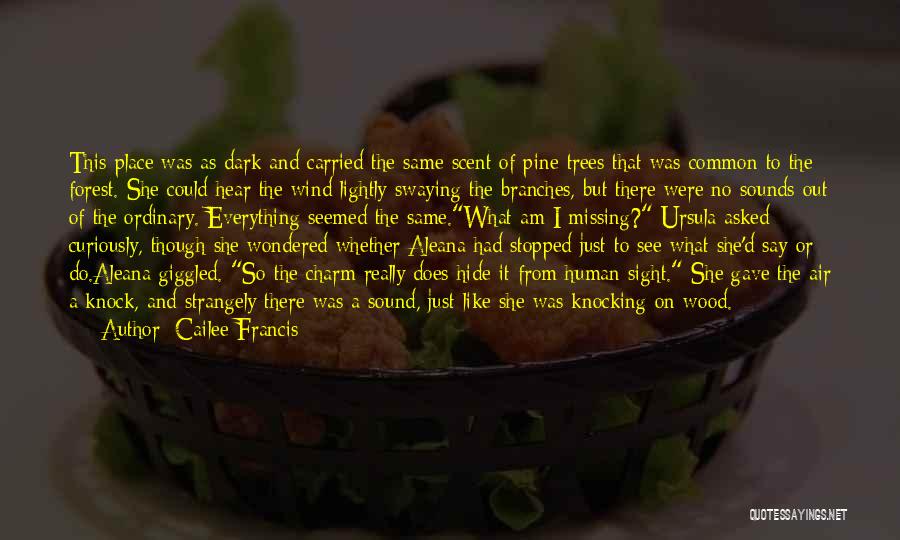 Francis D'assisi Quotes By Cailee Francis