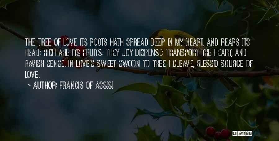 Francis D'assisi Quotes By Francis Of Assisi