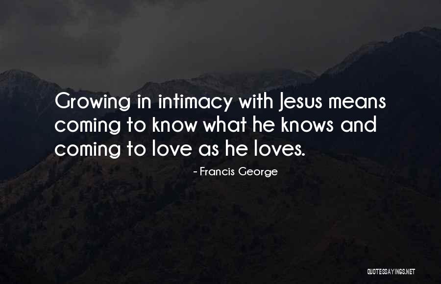 Francis George Quotes 1193378 Francis George Quotes 1193378