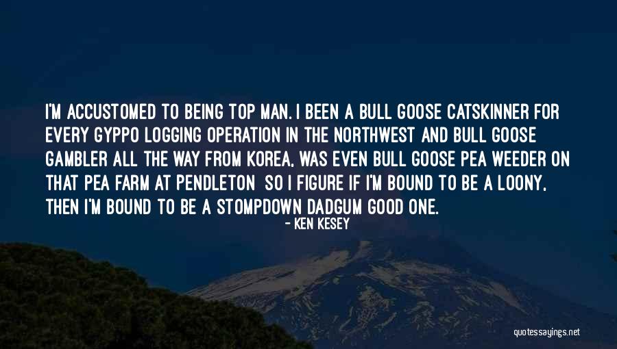 Francis Libermann Quotes By Ken Kesey Francis Libermann Quotes By Ken Kesey