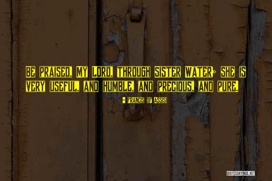 Francis Of Assisi Quotes 1778461 Francis Of Assisi Quotes 1778461