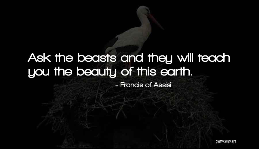 Francis Of Assisi Quotes 797174