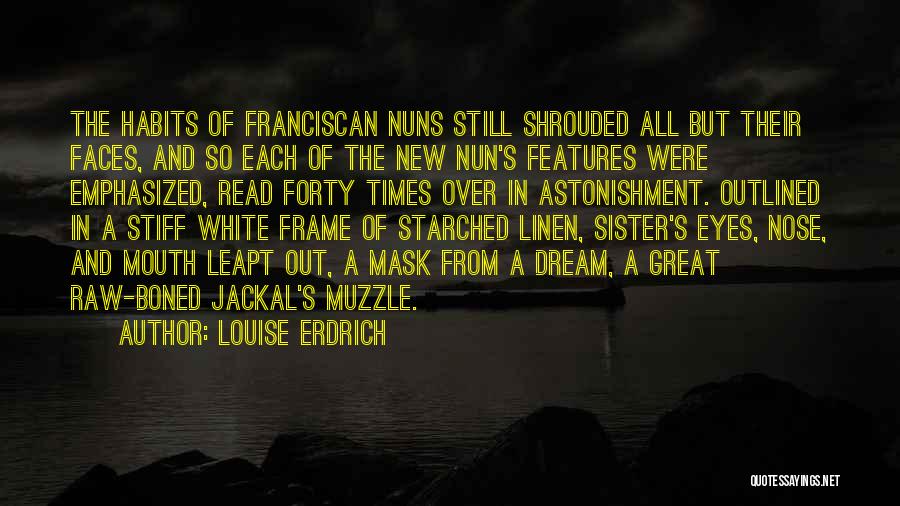 Franciscan Quotes By Louise Erdrich