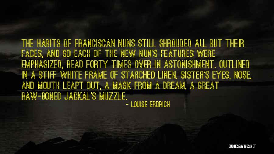 Franciscan Quotes By Louise Erdrich