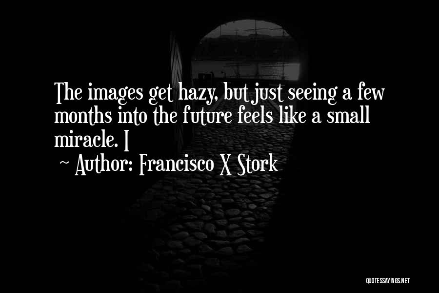 Francisco Stork Quotes By Francisco X Stork