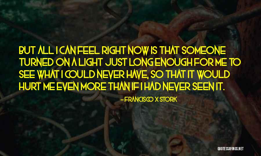 Francisco Stork Quotes By Francisco X Stork